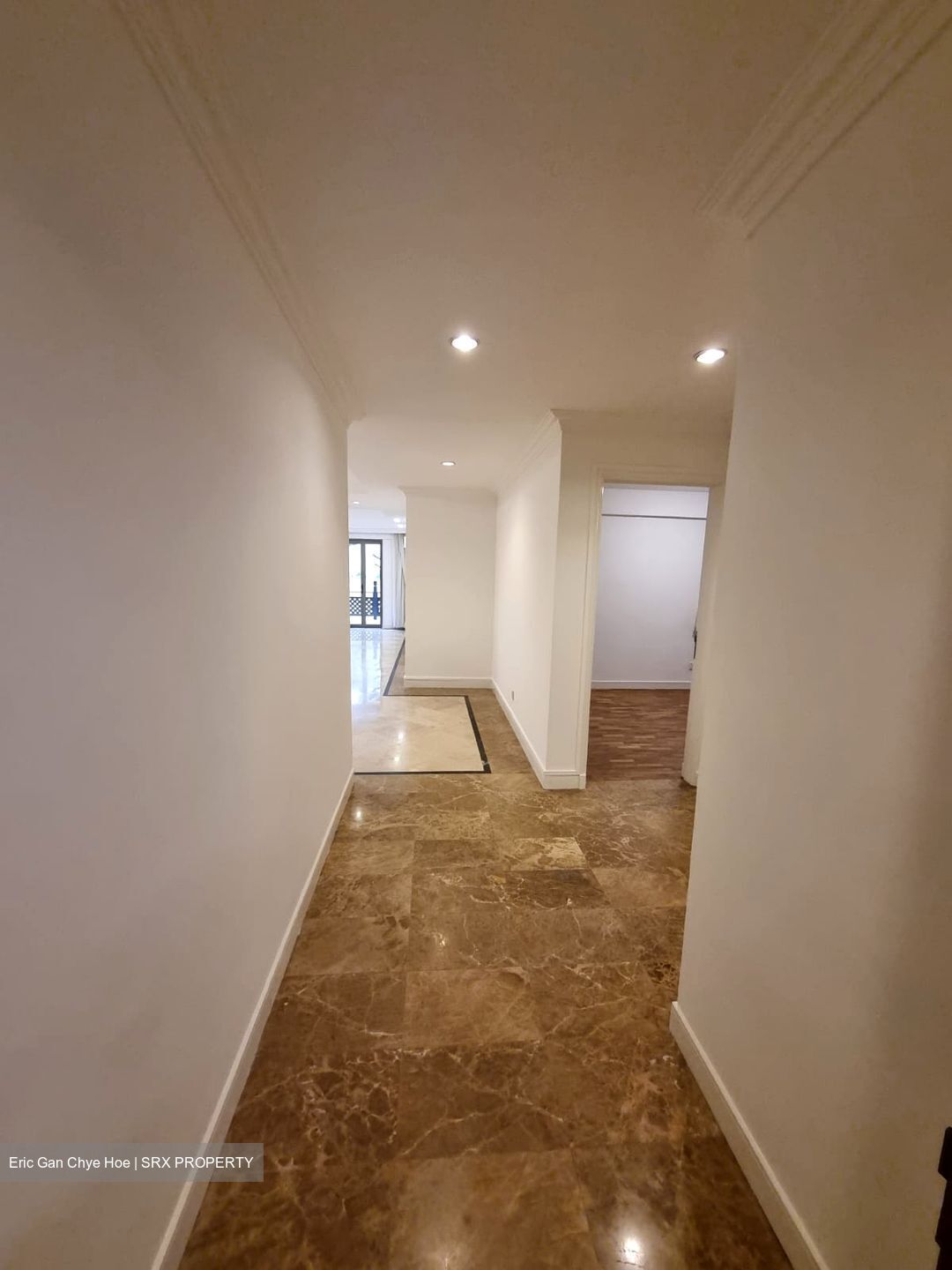 Cavenagh Lodge (D9), Apartment #621953791